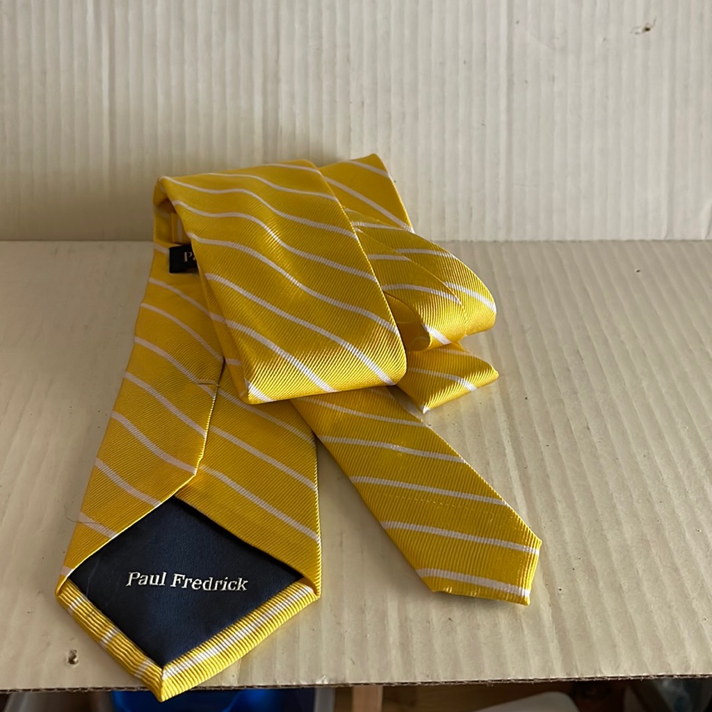 Paul Fredrick Brand New Tie